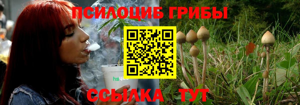 Псилоцибиновые грибы Cubensis  Вход с VPN  Кудрово  Галлюциногенные грибы GOLDEN TEACHER 